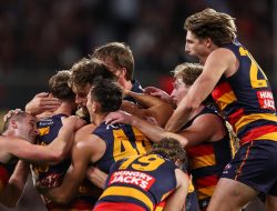 “That’s His Weapon”: Crows Celebrate New Folk Hero