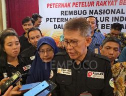 Peternak Ungkap Swasembada Telur, Serapan di MBG Masih Rendah
