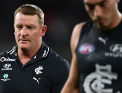 Blues’ Mental Burnout Exposed as Voss Call Timeline Unveiled