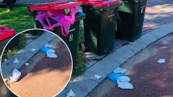 Neighbour faces messy dilemma after council bin shift: ‘They don’t listen’