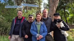 Islanders fight government over faulty land tax notices