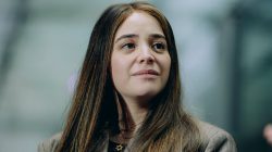 Royal Commission Reveals Harsh Realities of Antisemitism