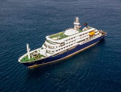 Early hantavirus symptoms as three die on British cruise ship