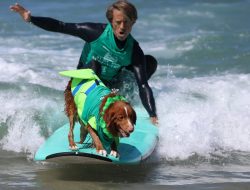 The expert-approved secret to a longer life for your dog