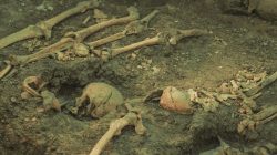 Ancient Human Bones Found in Colombian Mountains Defy Known Lineage