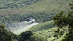 Outrage Over Cancer-Linked Chemicals Sprayed in US Skies