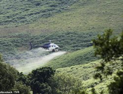 Outrage Over Cancer-Linked Chemicals Sprayed in US Skies