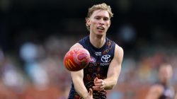 Unstoppable Crows Target Star Hawk