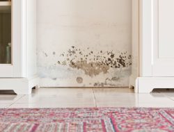 The kitchen hack that kills wall mould and keeps it away