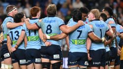 ‘Story of the Season’: Waratahs’ Unlikely Journey