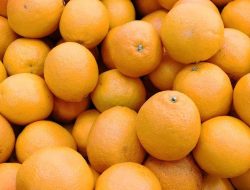 7 makanan alami atasi bau badan, apa saja?