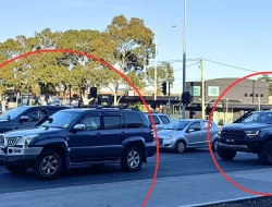 ‘Fine them more’: Safety expert cracks down on big SUVs and utes