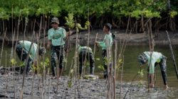 Ucapan Selamat HUT Haltim ke 23: PT Position Hijaukan Pantai Kasuari Wailukum Bersama Sektor Lintas