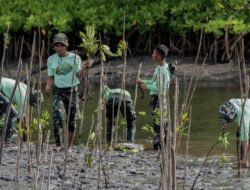 Ucapan Selamat HUT Haltim ke 23: PT Position Hijaukan Pantai Kasuari Wailukum Bersama Sektor Lintas