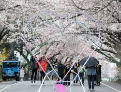 Pergi ke Korea? Temukan Promo Menarik di Korea Hybrid Travel Fair 2026