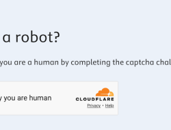 Websites Demand Human Proof – Blame the Bots