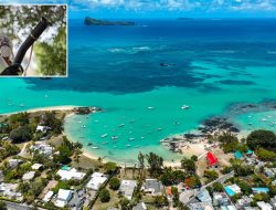 CDC warns of deadly mosquito virus at popular Australian beach destination