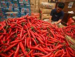Harga cabai naik jelang Iduladha, DKPP jamin pasokan aman