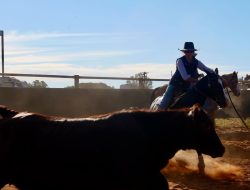 Topar Campdraft Clinic riders seize the reins and fall in love with the sport