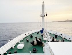 Cruise demand remains strong despite onboard health scares