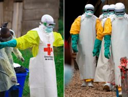 Ebola Crisis Escalates as 80 Dead and Hundreds Infected in Australia