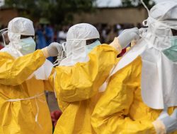 Health Check: Island Pharmaceuticals Rises as Ebola Outbreak Spreads