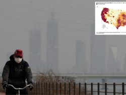 One hour of pollution exposure harms brain and lung function