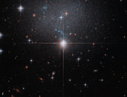 Hubble uncovers hidden dwarf galaxy shaping cosmic flows