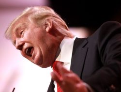Trump mocked by expert for overestimating voter sway