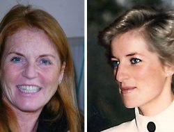 Why Diana and Sarah Ferguson’s Friendship Ended