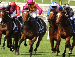 Race-by-race insights for Scone this Sunday