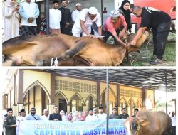 Wabup Labura Saksikan Penyembelihan Hewan Kurban Bantuan Presiden Prabowo di Aek Natas