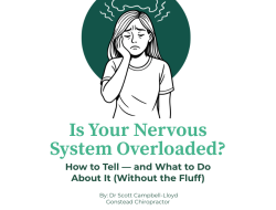 What does it mean when your nervous system is overloaded?