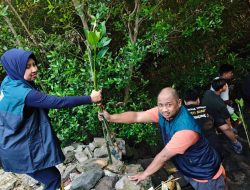 TPS Tanam 3.000 Bibit Mangrove di Kawasan Sontoh Laut 