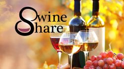 Api di Sungai Kambang Menghebohkan Warga Jambi