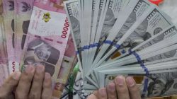 BI dan Kemenkeu bersinergi, siapkan langkah baru jaga stabilitas rupiah
