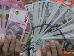 BI dan Kemenkeu bersinergi, siapkan langkah baru jaga stabilitas rupiah