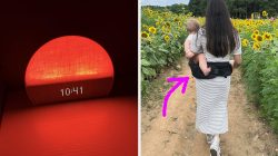 If There Was an Award for Most Useful, These 34 Products Would Win