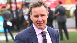 Mysterious horse drug sparks ‘Russian roulette’ risk at Australian races