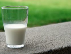 Mengenal Proses One-Step Segar dalam Susu Formula, Lebih Baik untuk Anak?