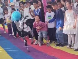 Wild robot karate kicks child during martial arts display