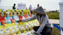 Setelah Idul Adha, Pemerintah Jamin Stabilitas Harga Pangan