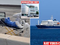Americans Escape Isolation After Rat Virus Cruise Ship Outbreak