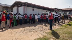 Renowned Virologist Reveals Why Ebola Won’t Spread Globally