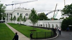 Veteran Sues White House Over UFC Deal