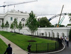 Veteran Sues White House Over UFC Deal