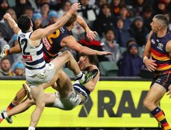 Star Crow faces ‘dangerous act’ charge at tribunal