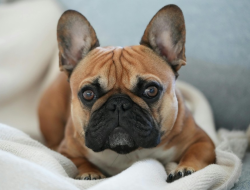 Itchy Ears: Outer Ear Infection