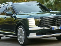 2025 Palisade Recall Hits Australia