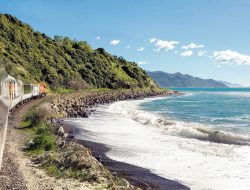 Rail journeys, breathtaking views: Discovering New Zealand by train
